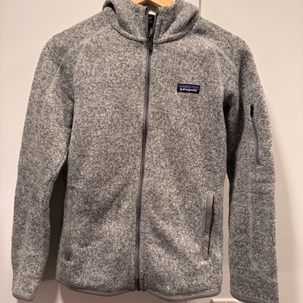 Patagonia Better Sweater Hoody - Color: Birch White / Size: XS